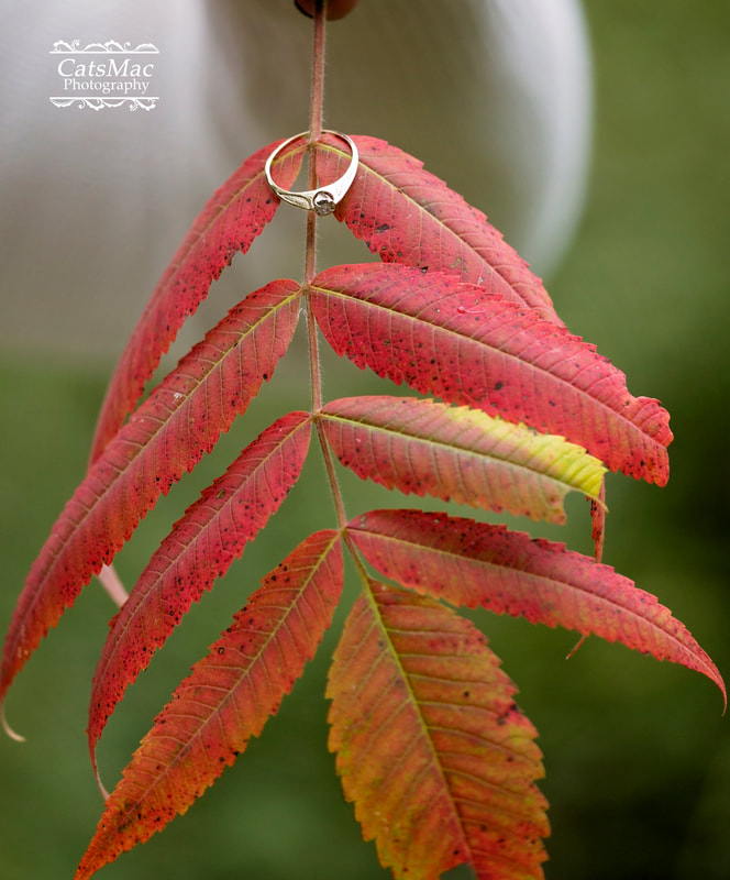engagement ring fall leaves