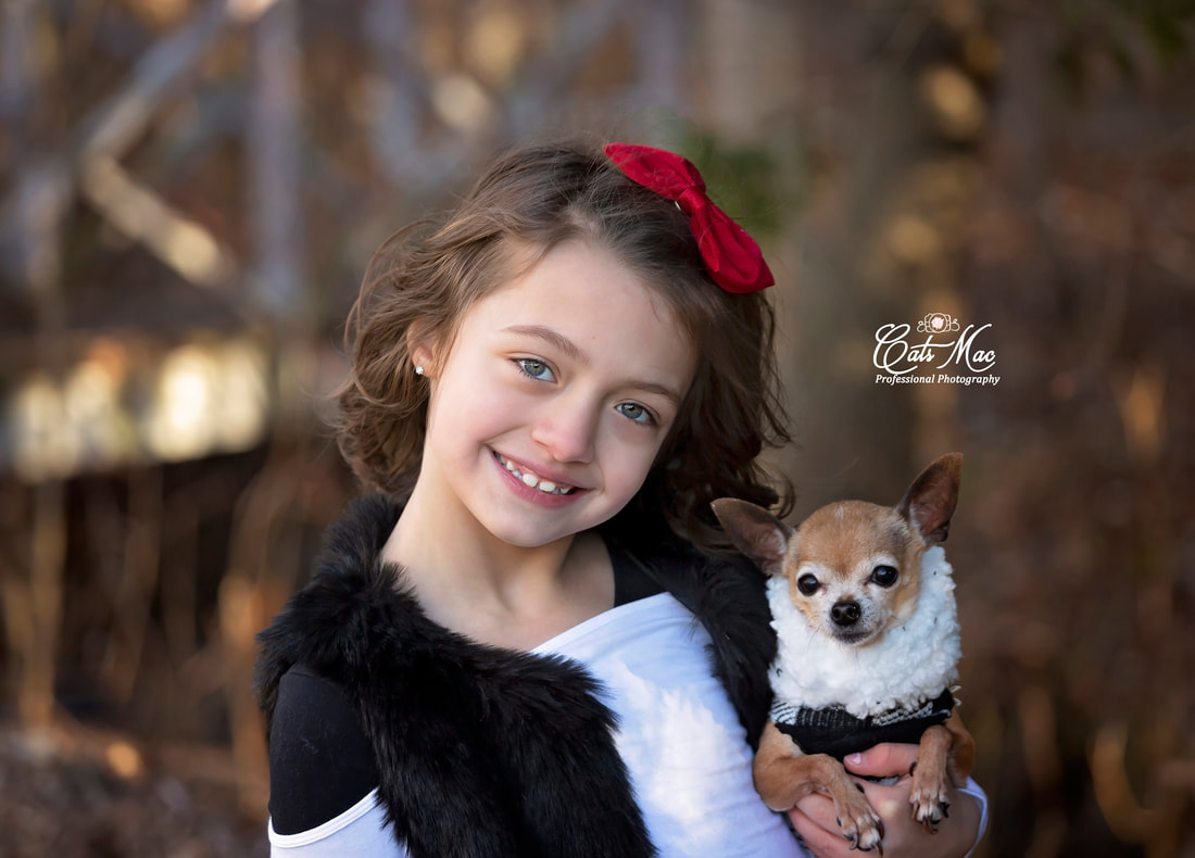 Family photo session mini with pets dogs 