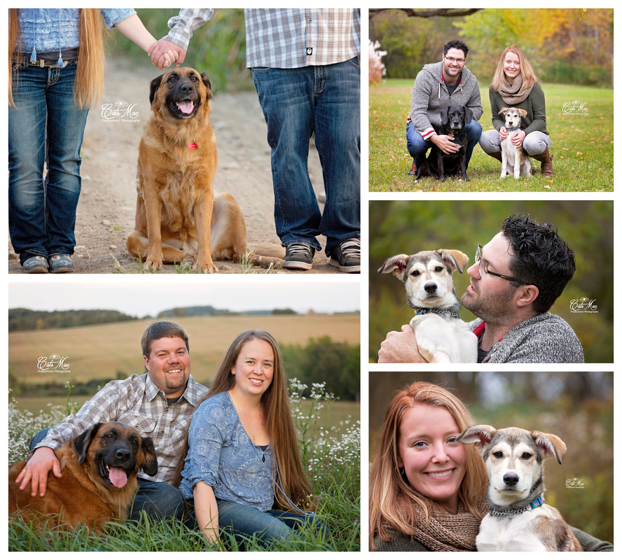 Dog pet Portraits Family Sessions
