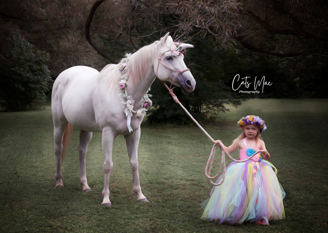 little girl in princess dress with a flower crown holding a rope that is attached to a Unicornure