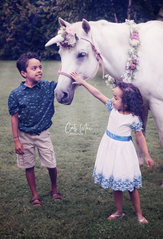 Boy and girl looking up at a unicorn