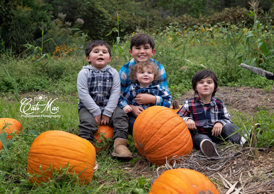 Fall family minis photo session
