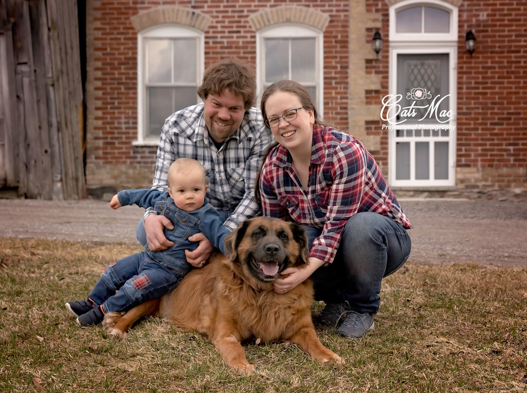 Family with dog photo session 