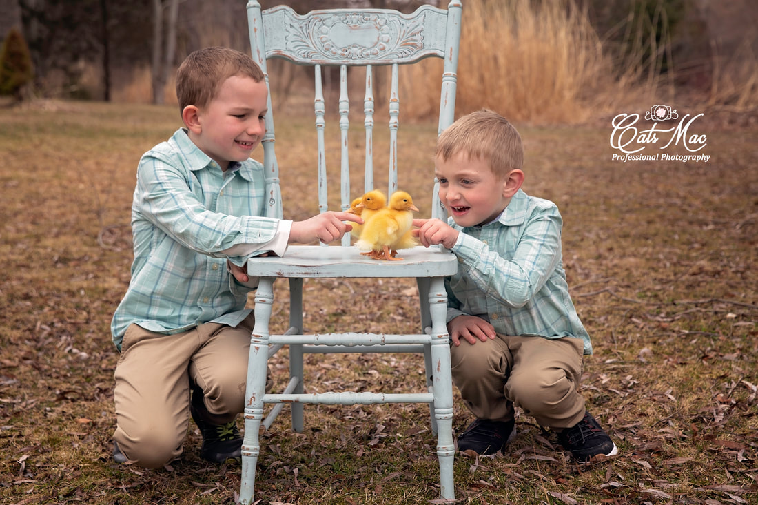 Easter photo shoot baby ducks