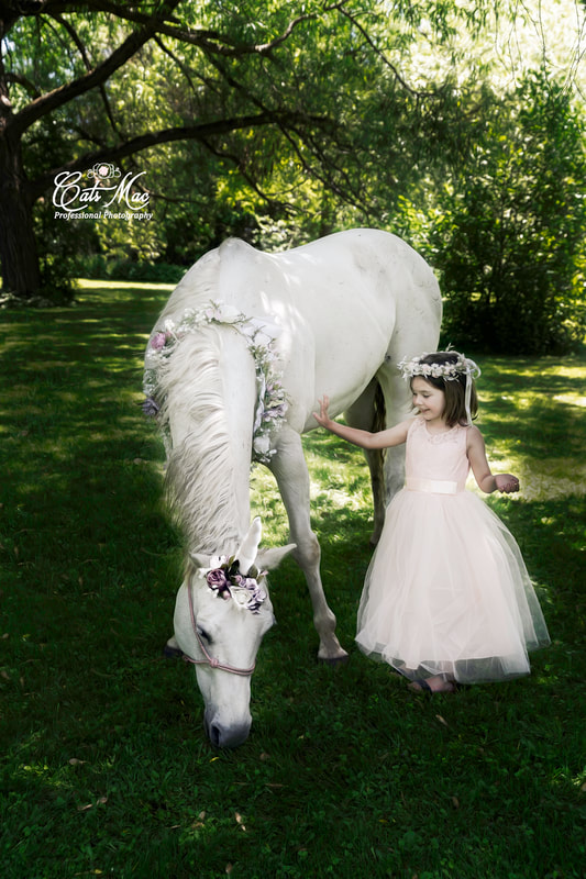 Unicorn Photo Session Little Girl Princess