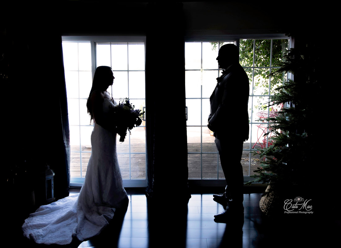 Stillwater on the Lake silhouette elopement bride and groom