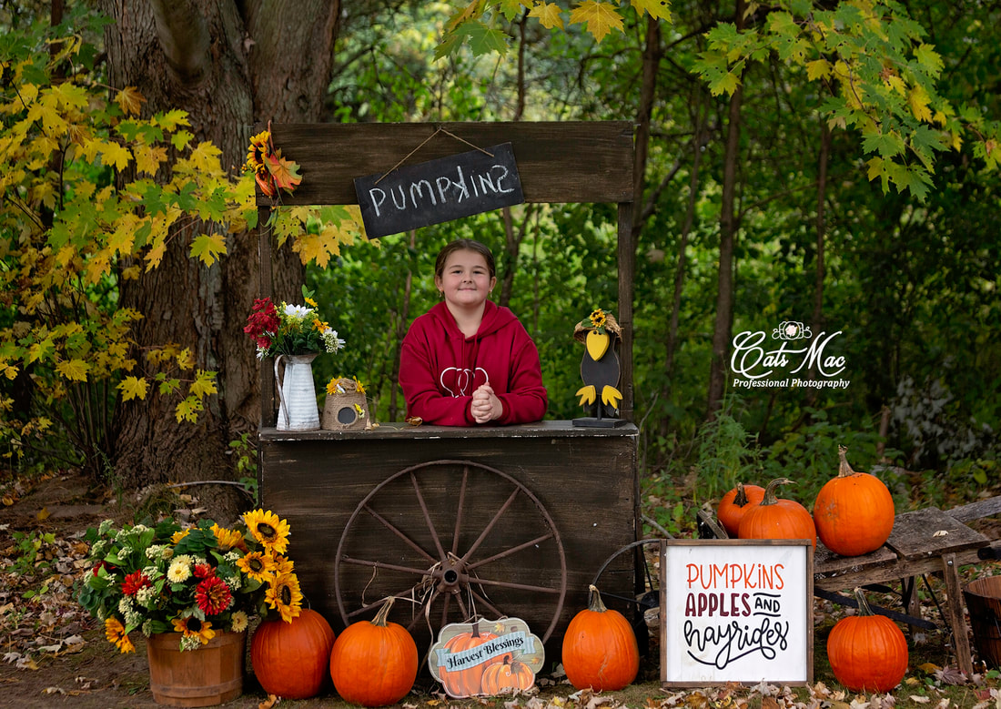 Fall photo session minis pumpkins booth prop child 