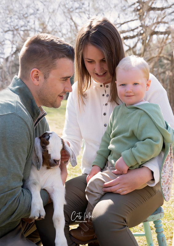 Mother father and little baby boy on front yard with a baby goat during family spring photo session 