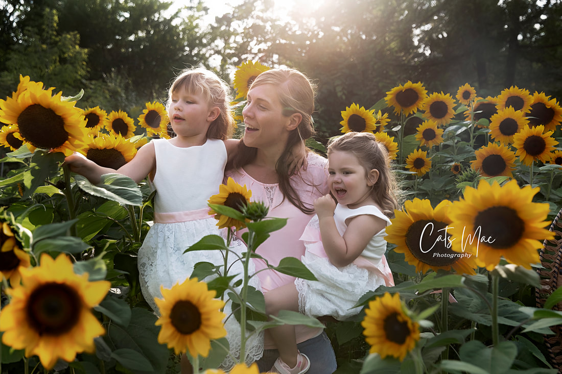 Family Photo session in field of sunflowers. Mom and girls among flowers