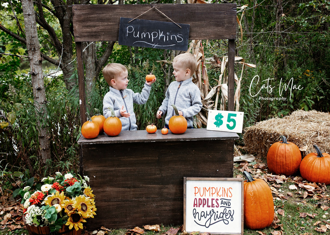 Two little boys in a pumpkin booth selling pumpkins fall family photo session 