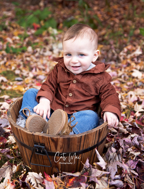 baby sitting in wooden bucket basket in the fall leaves