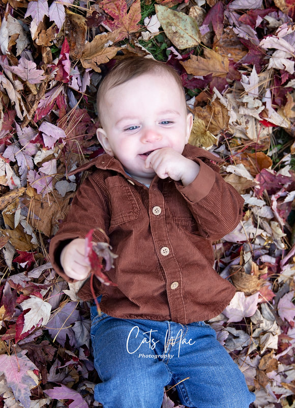 Baby boy lying in the fall leaves laughing 