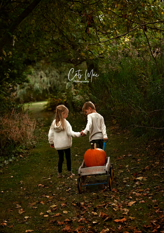 Twin boy and girl brother and sister pulling wagon with pumpkin in admid fall colours