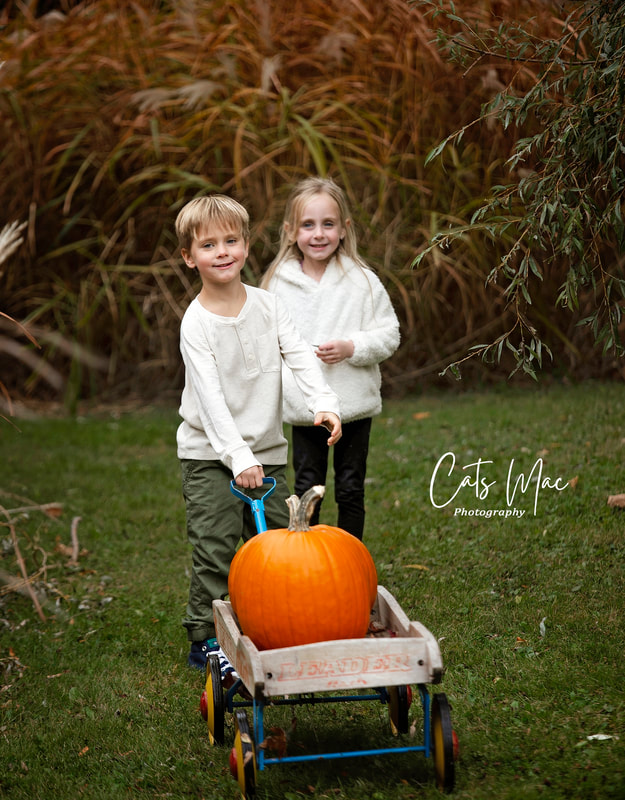 twin brother and sister looking at camera and pulling wagon with pumpkin in