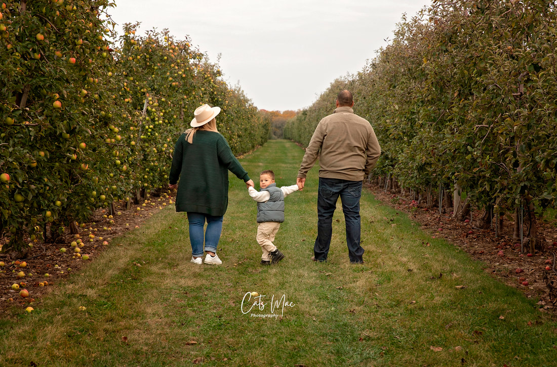 Little boy walking between mom and dad down row of apple trees fall family photo shoot 