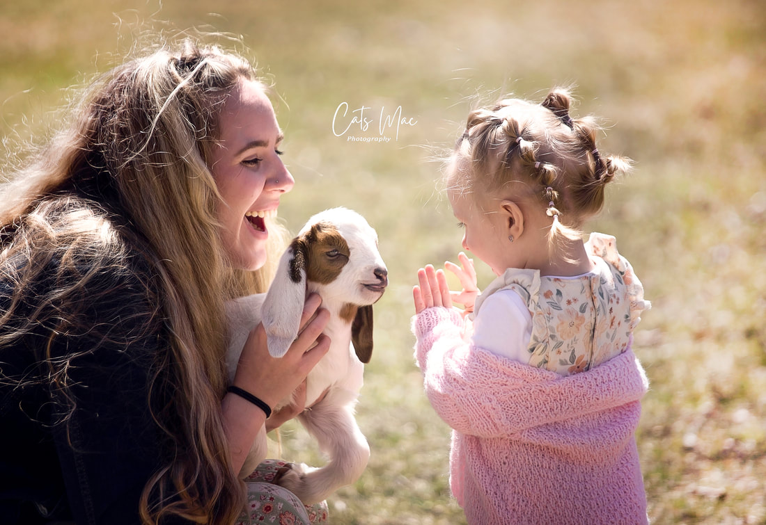 A mother holding a baby goat while her little girl looks at it