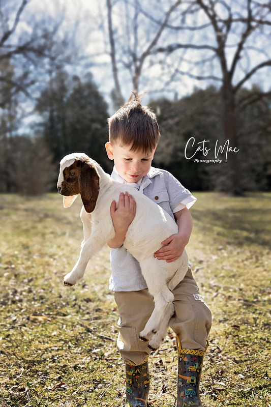 Young boy in rain boots hold a baby goat