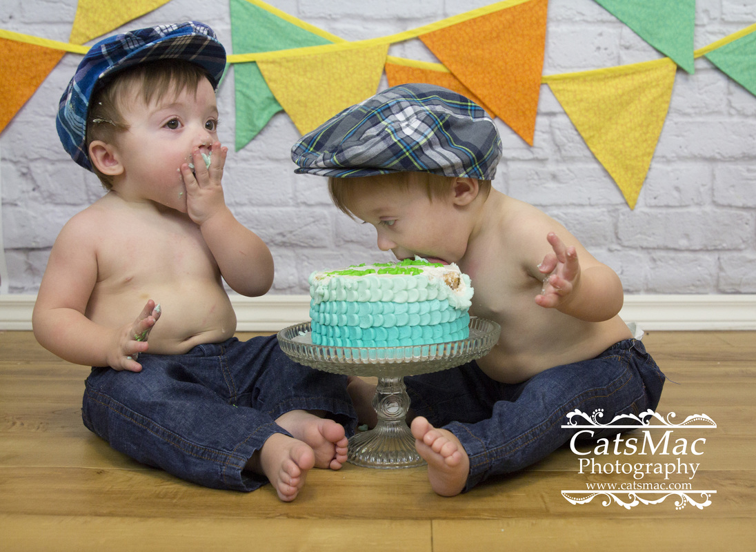 Twins Cake Smash First Birthday Photography Session