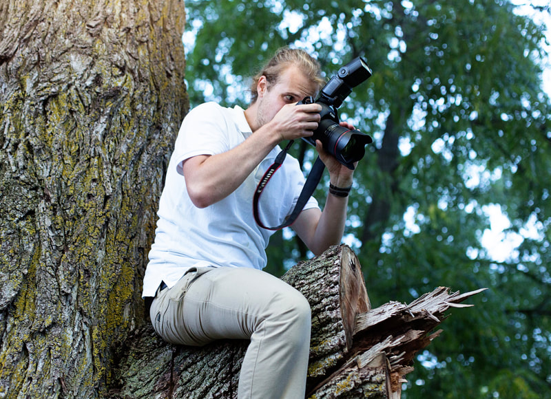 Justin Schofield photographer up in tree at wedding