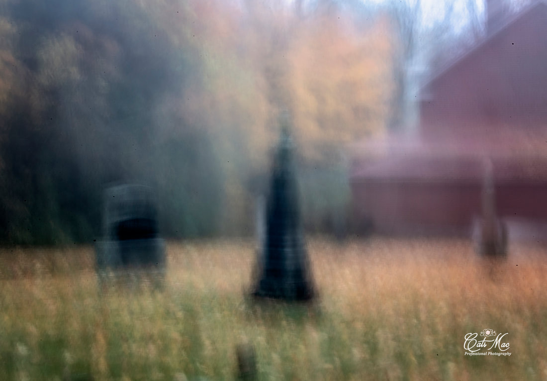 cemetery fall blurry drag shutter painterly