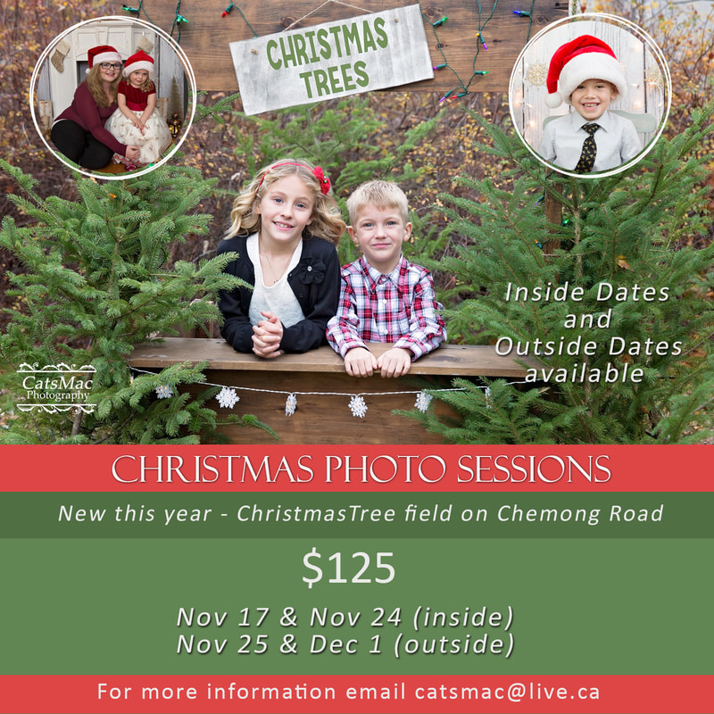 Indoor and outdoor Christmas mini photos