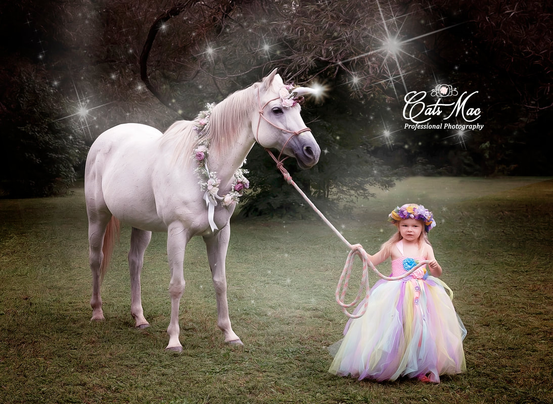 Magical Unicorn Photo Session little girl princess