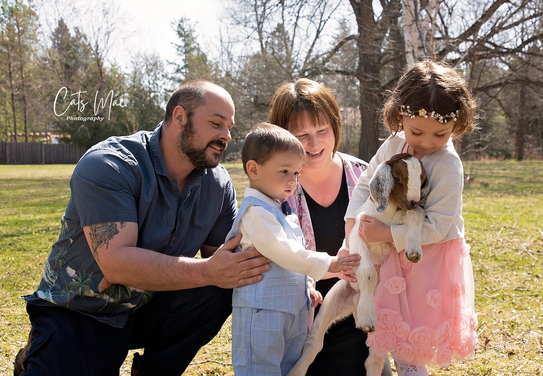 Family gathered around the little girl holding a baby goat during their spring photo mini session