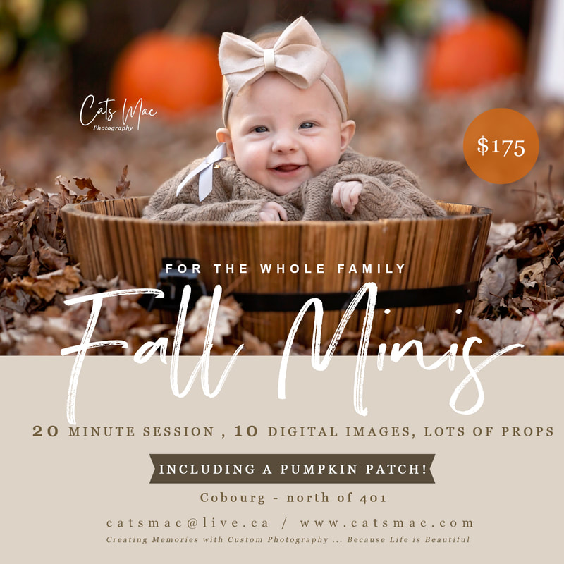 Fall Photo Mini Sessions with pumpkin patch