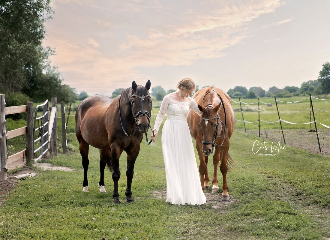 Bride between to horses walking them in the paddock