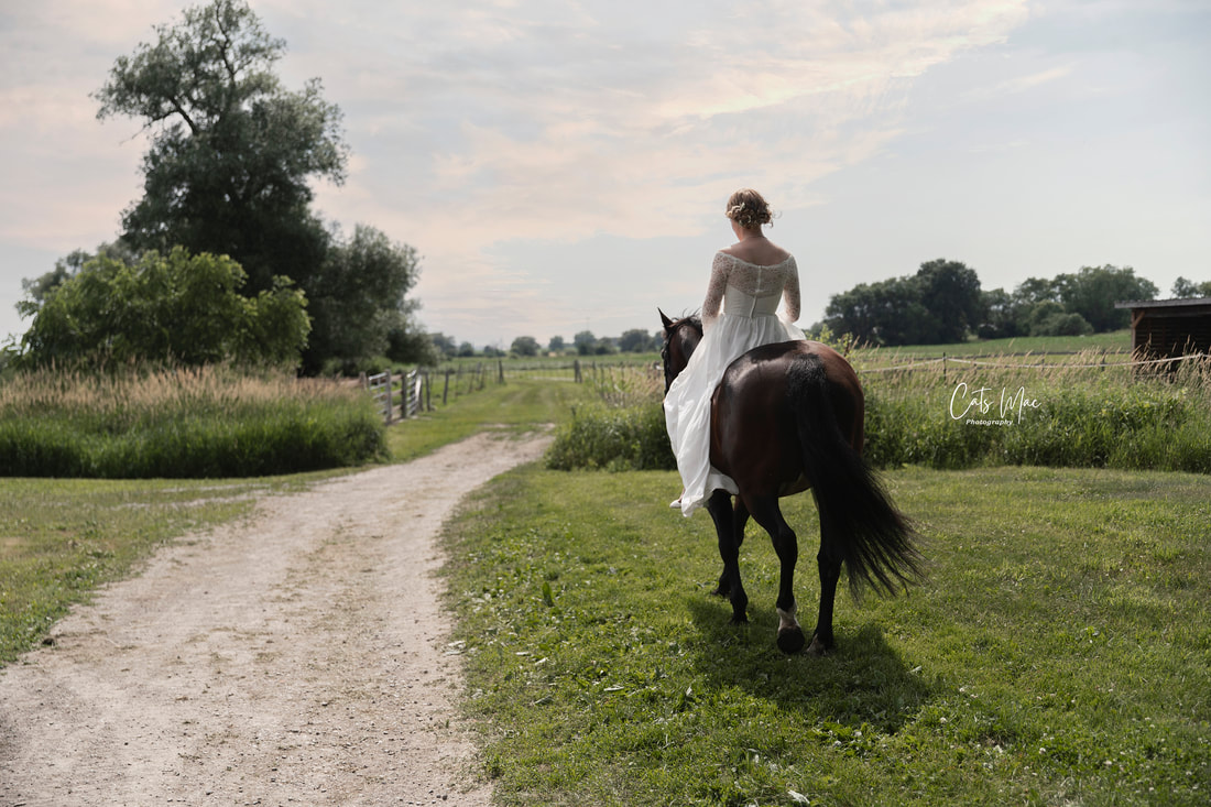 Woman in wedding gown riding horse