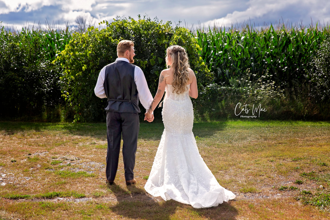 Bride and groom with backs toward camera holding hands in front of cornfield