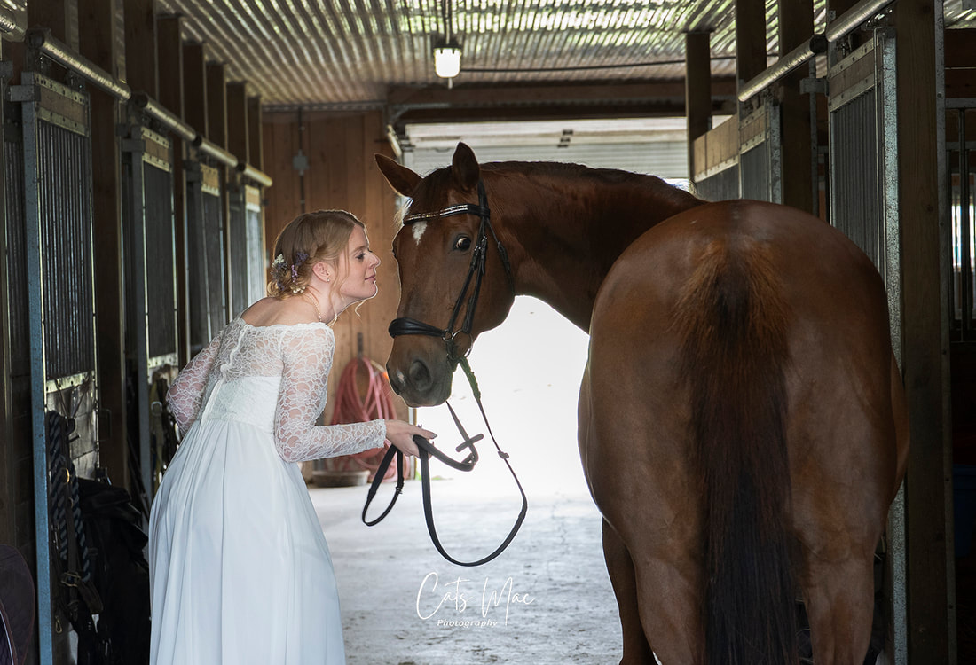 Bride in wedding dress holding the reins of her horse in the barn