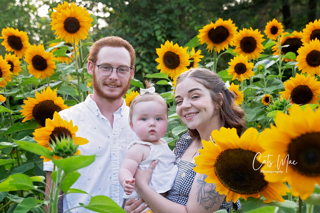 Young family holding their baby in a sunflower field photo session