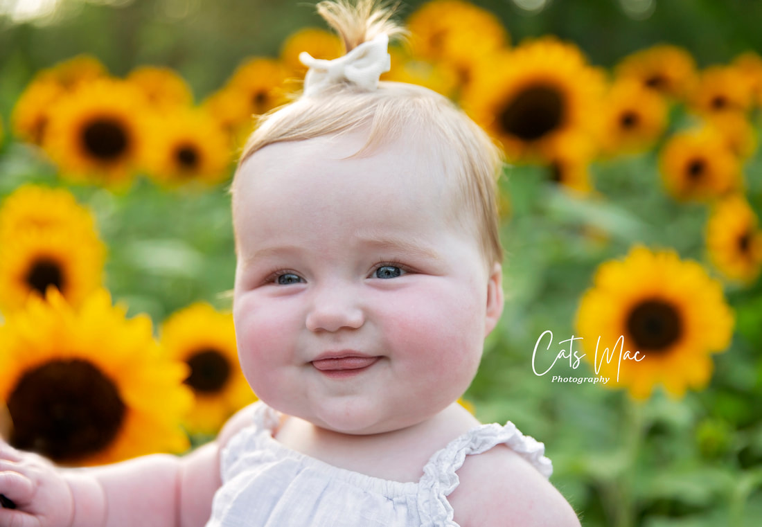 Smiling baby with the background of sunflower field photo session