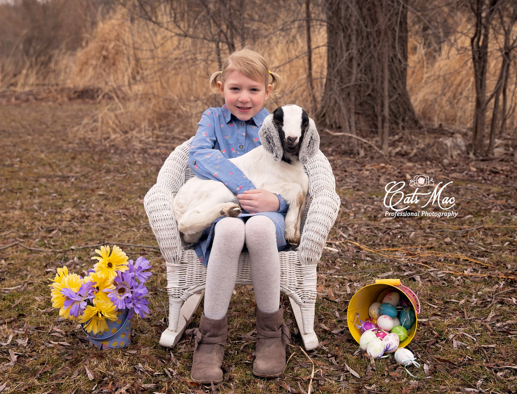 Easter Photo Shoot baby goat