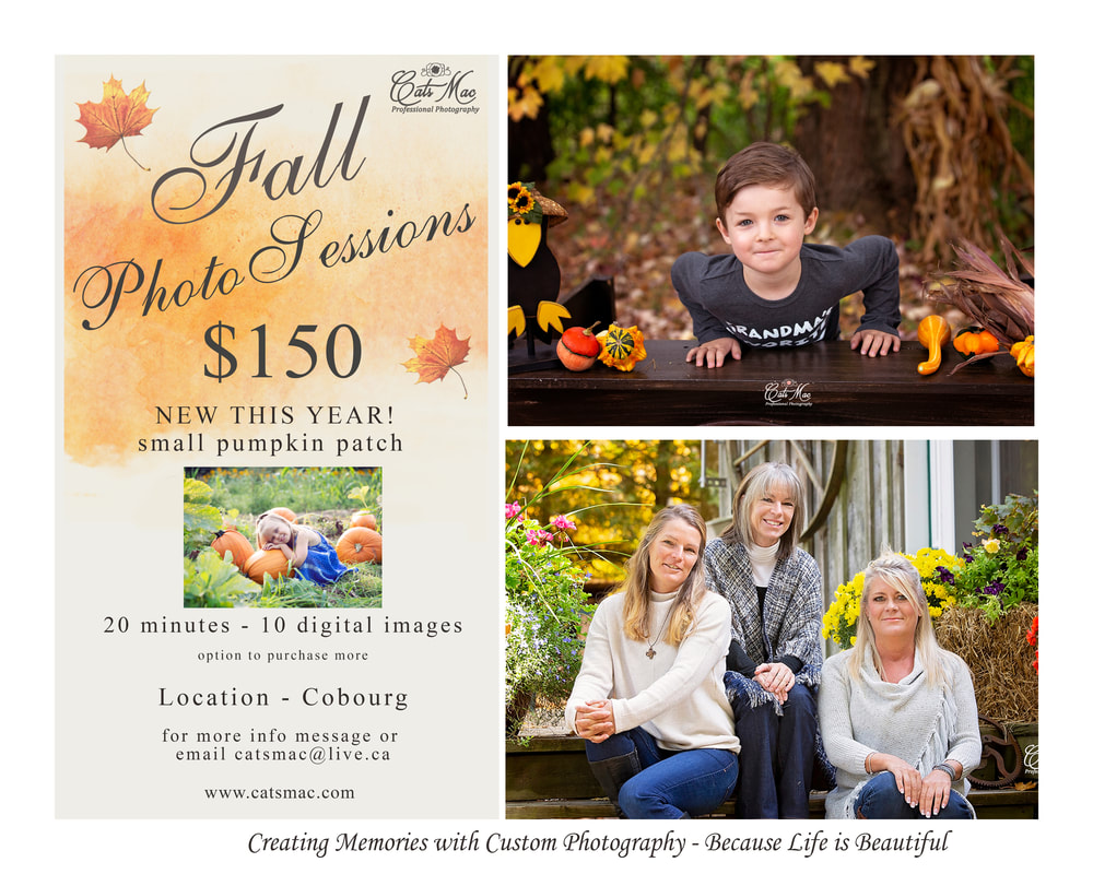 Fall Mini photo session family 