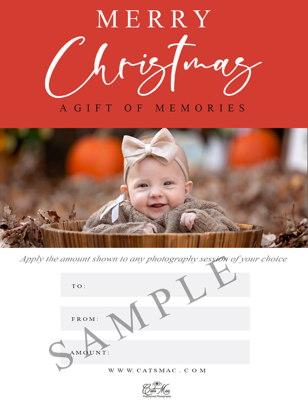 Photo session gift certificate 