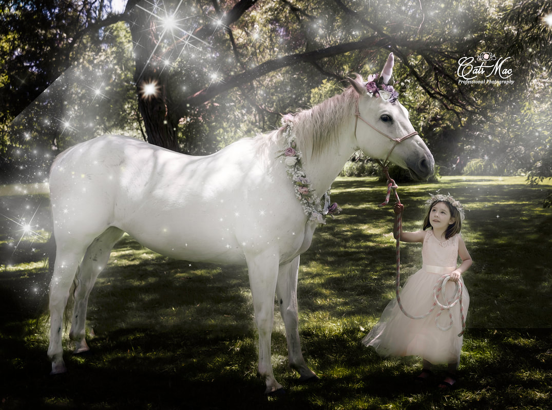 Magical Unicorn Photography Session